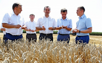 Почему, чем больше урожай, тем дороже хлеб?