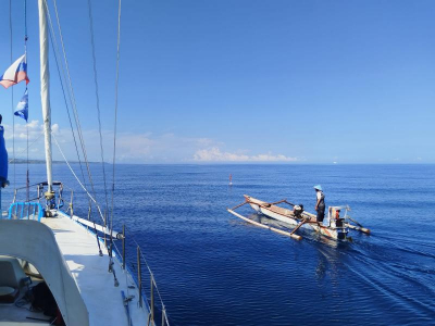 Все люди в мире добрые. Юлия Калюжная об итогах года томской кругосветки